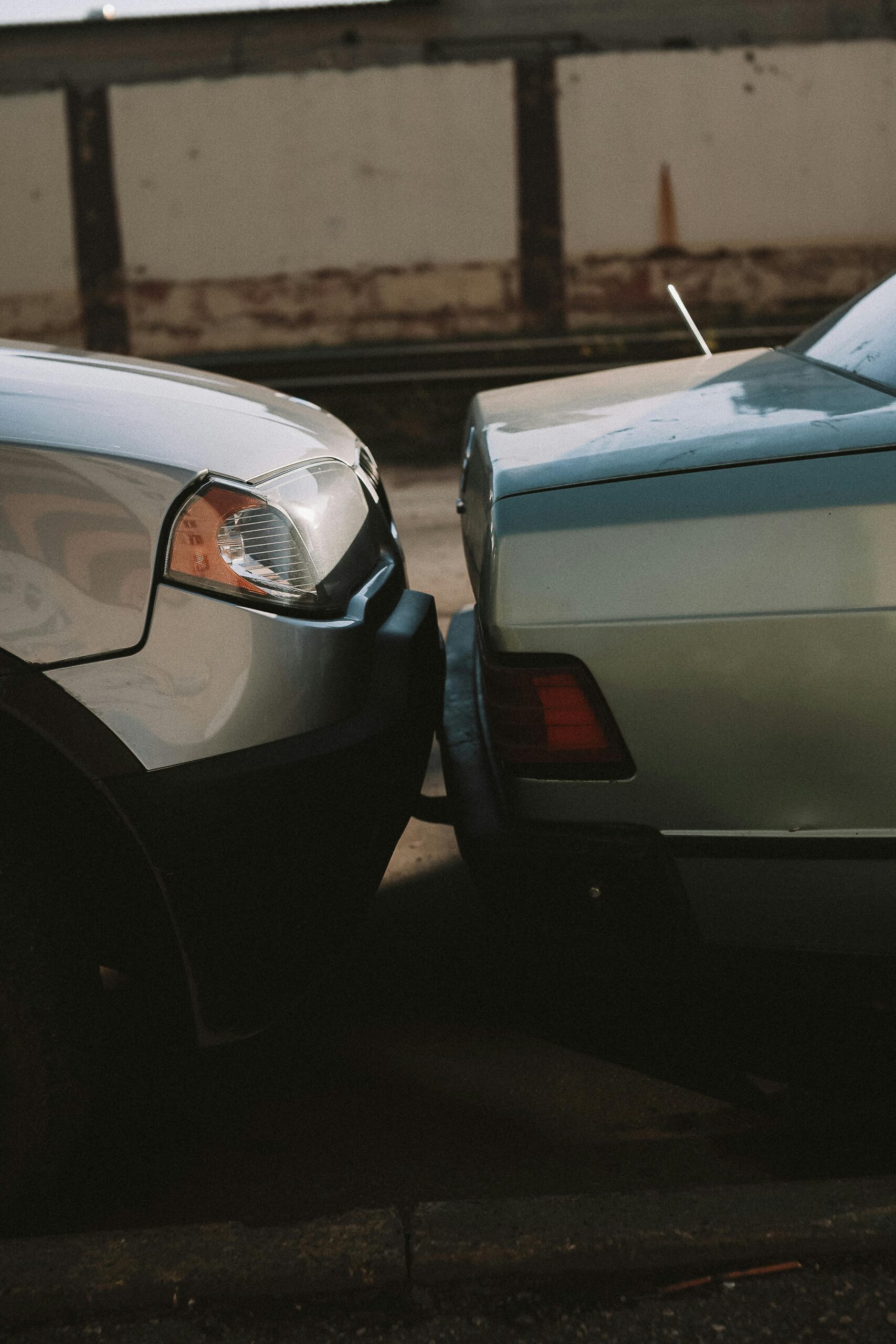 pexels nikitaxnikitin 10102313